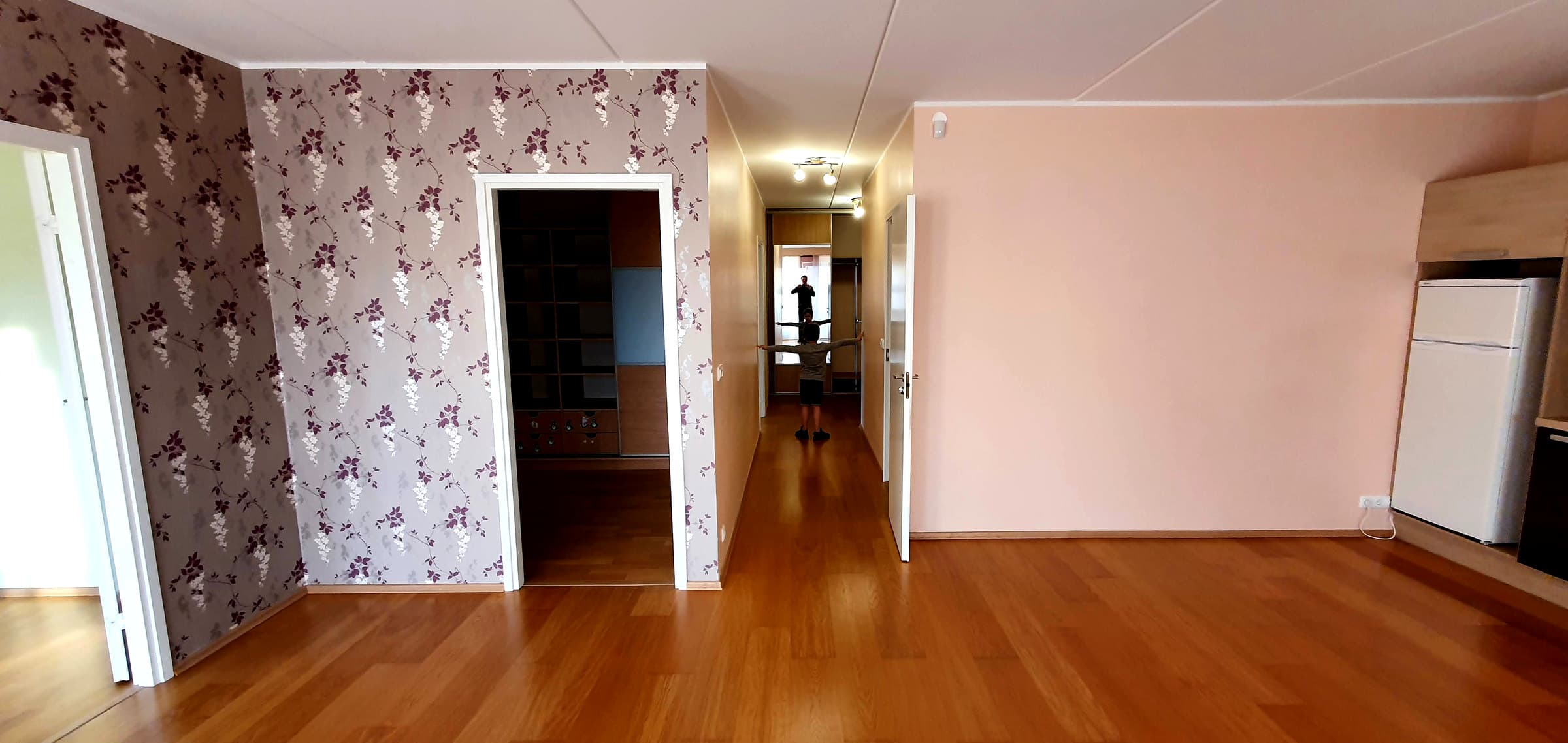 Living room and hallway before redesign.